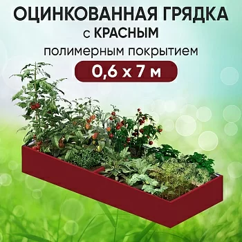 Грядка красная (0,6 х 7)