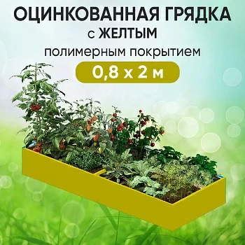 Грядка желтая (0,8 х 2)